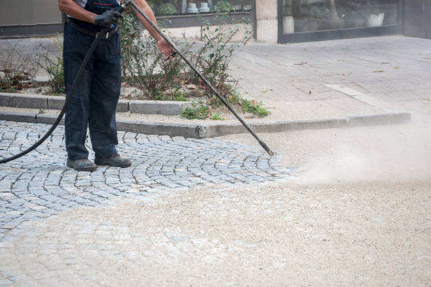 Best Winterizing Services  in Springfield, KY
