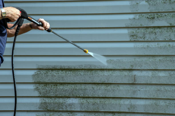 Best Building Exterior Washing  in Springfield, KY