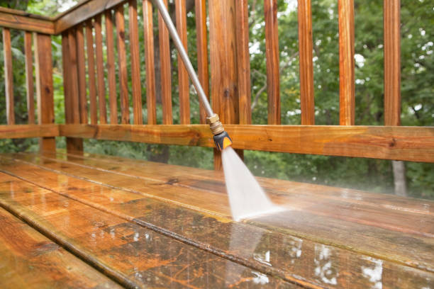 Animal Enclosure Cleaning in Springfield, KY