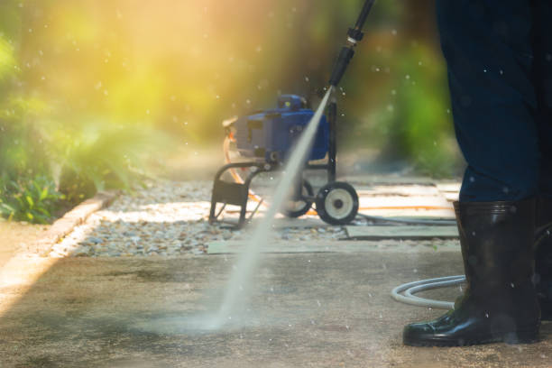 Best Dumpster Area Cleaning  in Springfield, KY